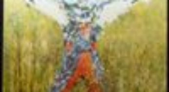 仮面ライダーカード 401番 怪人ネズコンドル１号 NR19