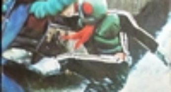 仮面ライダーカード 218番 エレキボタルとライダーのたたかい KR13