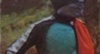 仮面ライダーカード 41番 仮面ライダーのひみつ　旧ゴシック版　裏25局