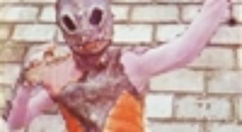 仮面ライダーカード 19番 怪魚人アマゾニア　旧ゴシック版　裏25局