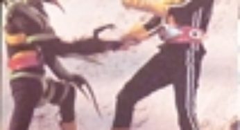 仮面ライダーカード 421番 強てきコンビ KR18版