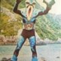 仮面ライダーカード 232番 海の怪人　シオマネキング SR11版