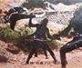 仮面ライダーカード 230番 レッツゴー　ライダーキック TR11版